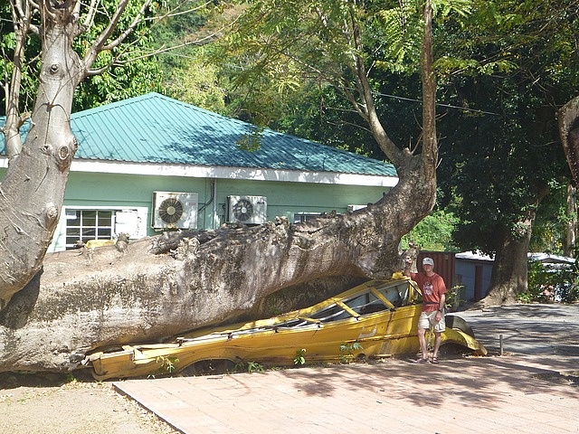 David the Goliath - notice the crushed bus!