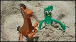 Pokey and Gumby enjoyed playing on the beach