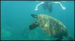 Close encounter