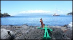 Pokey and Gumby are enjoying Maui, too